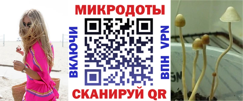 Галлюциногенные грибы ЛСД  хочу   Заводоуковск 