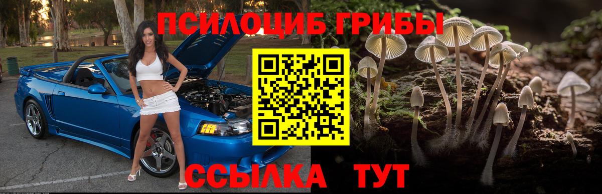 Галлюциногенные грибы Psilocybine cubensis  Вход с VPN  купить наркоту  Заводоуковск 