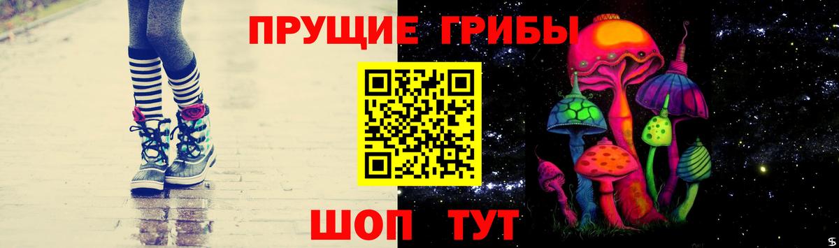 Псилоцибиновые грибы прущие грибы Заводоуковск